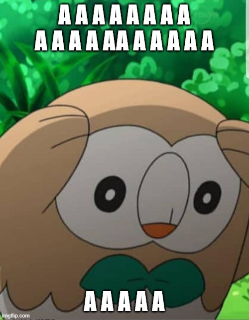 aaaaaaaaaaaaaaaaaaaaaaaaaaaaaaaaa | A A A A A A A A A A A A AA A A A A A; A A A A A | image tagged in rowlet pokemon meme | made w/ Imgflip meme maker