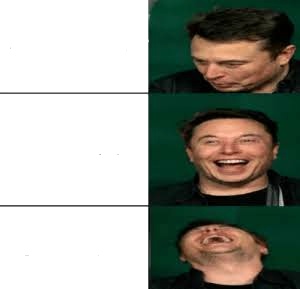 High Quality Laughing Musk Blank Meme Template