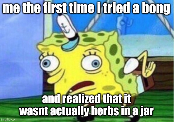 Bong Bros | me the first time i tried a bong; and realized that it wasnt actually herbs in a jar | image tagged in memes,mocking spongebob,drugs | made w/ Imgflip meme maker