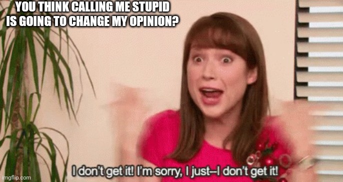 Erin "I don't get it" The Office | YOU THINK CALLING ME STUPID IS GOING TO CHANGE MY OPINION? | image tagged in erin i don't get it the office | made w/ Imgflip meme maker