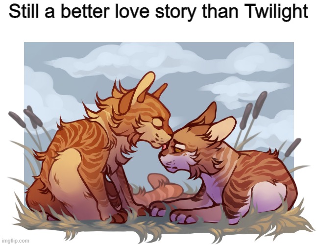 Leafpool and Mothwing | Still a better love story than Twilight | made w/ Imgflip meme maker