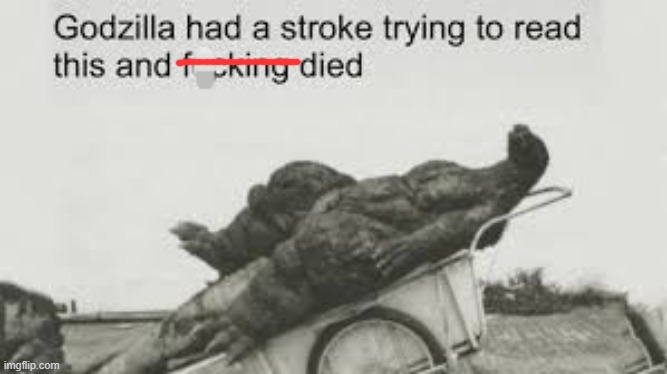 Godzilla had a stroke trying to read this and f**king died | image tagged in godzilla had a stroke trying to read this and f king died | made w/ Imgflip meme maker