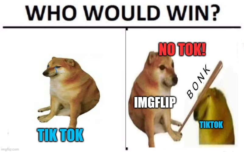 Who Would Win? Meme | TIK TOK IMGFLIP TIKTOK NO TOK! | image tagged in memes,who would win | made w/ Imgflip meme maker