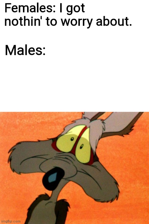 Females: I got nothin' to worry about. Males: | image tagged in blank white template,wile e coyote oh no | made w/ Imgflip meme maker