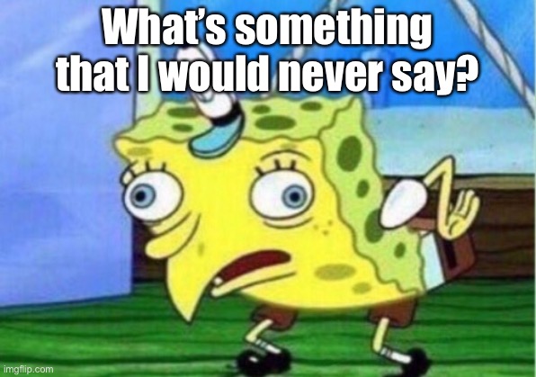 Mocking Spongebob | What’s something that I would never say? | image tagged in memes,mocking spongebob | made w/ Imgflip meme maker