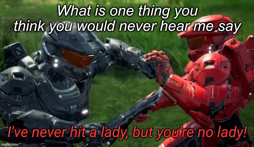 I've never hit a lady but you're no lady | What is one thing you think you would never hear me say | image tagged in i've never hit a lady but you're no lady | made w/ Imgflip meme maker