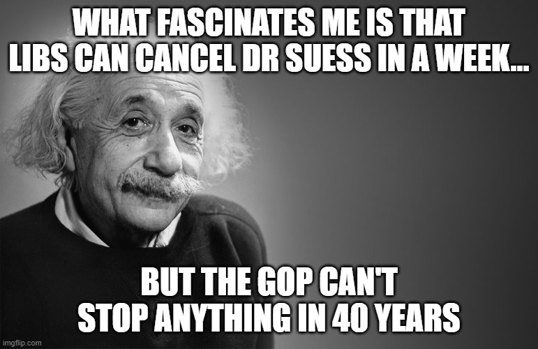 albert einstein quotes | WHAT FASCINATES ME IS THAT LIBS CAN CANCEL DR SUESS IN A WEEK... BUT THE GOP CAN'T STOP ANYTHING IN 40 YEARS | image tagged in albert einstein quotes | made w/ Imgflip meme maker