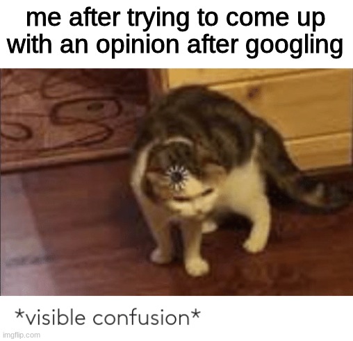 visible confusion | me after trying to come up with an opinion after googling | image tagged in visible confusion | made w/ Imgflip meme maker