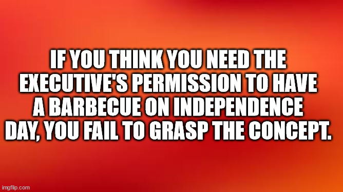 bkgrnd | IF YOU THINK YOU NEED THE EXECUTIVE'S PERMISSION TO HAVE A BARBECUE ON INDEPENDENCE DAY, YOU FAIL TO GRASP THE CONCEPT. | image tagged in bkgrnd | made w/ Imgflip meme maker