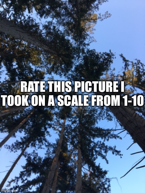 RATE THIS PICTURE I TOOK ON A SCALE FROM 1-10 | made w/ Imgflip meme maker
