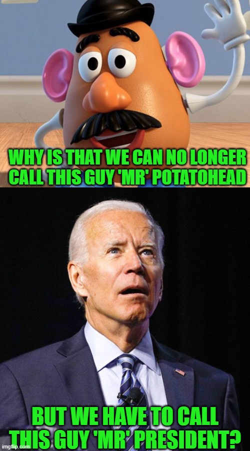 Well, they both have the IQs of potatoes. | WHY IS THAT WE CAN NO LONGER CALL THIS GUY 'MR' POTATOHEAD; BUT WE HAVE TO CALL THIS GUY 'MR' PRESIDENT? | image tagged in mr potato head,joe biden | made w/ Imgflip meme maker