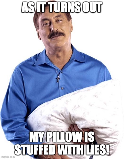 My pillow guy |  AS IT TURNS OUT; MY PILLOW IS STUFFED WITH LIES! | image tagged in my pillow guy | made w/ Imgflip meme maker