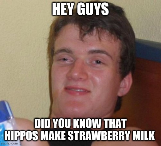 10 Guy Meme | HEY GUYS; DID YOU KNOW THAT HIPPOS MAKE STRAWBERRY MILK | image tagged in memes,10 guy | made w/ Imgflip meme maker