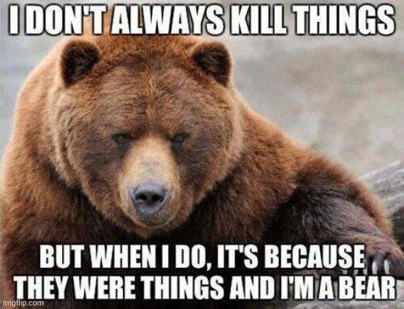 More Bears | image tagged in bears | made w/ Imgflip meme maker