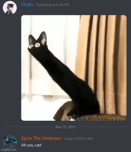 Ah yes, cæt. But with some context. | made w/ Imgflip meme maker