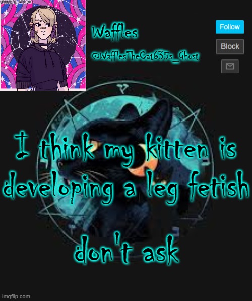 . | I think my kitten is developing a leg fetish; don't ask | image tagged in no tags for you | made w/ Imgflip meme maker