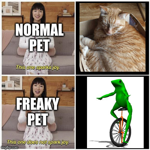 Marie Kondo Spark Joy | NORMAL PET; FREAKY PET | image tagged in marie kondo spark joy | made w/ Imgflip meme maker