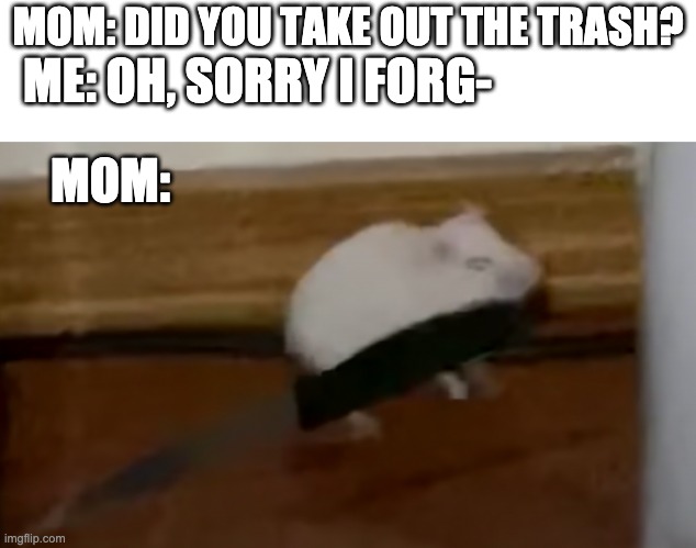 MOM! PUT THE KNIFE DOWN! I'M TAKING IT OUT RIGHT NOW! ps, the template name is "Hampster Knife" | MOM: DID YOU TAKE OUT THE TRASH? ME: OH, SORRY I FORG-; MOM: | image tagged in hamster knife,when you think your parents are mean,parents,childhood,relatable | made w/ Imgflip meme maker
