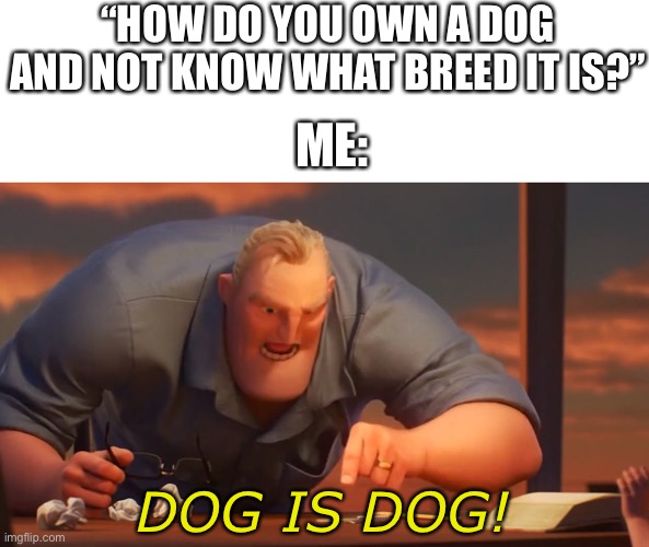 dog | “HOW DO YOU OWN A DOG AND NOT KNOW WHAT BREED IT IS?”; ME:; DOG IS DOG! | image tagged in math is math | made w/ Imgflip meme maker