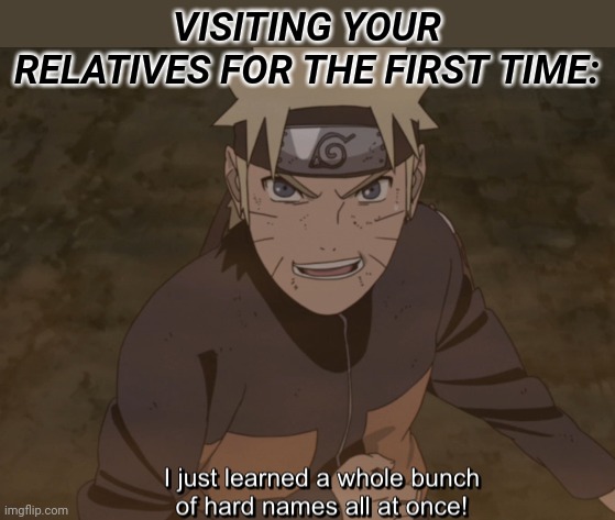 VISITING YOUR RELATIVES FOR THE FIRST TIME: | image tagged in naruto shippuden,naruto,anime meme,anime | made w/ Imgflip meme maker