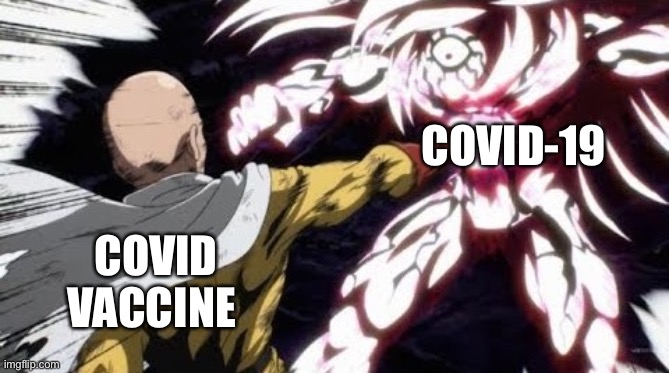 saitama punches boros | COVID-19 COVID VACCINE | image tagged in saitama punches boros | made w/ Imgflip meme maker