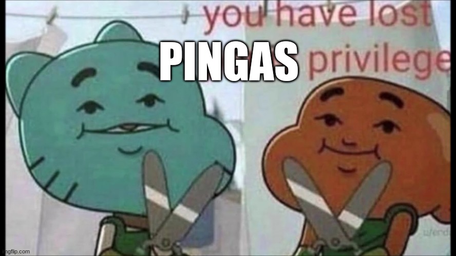 PINGAS | made w/ Imgflip meme maker