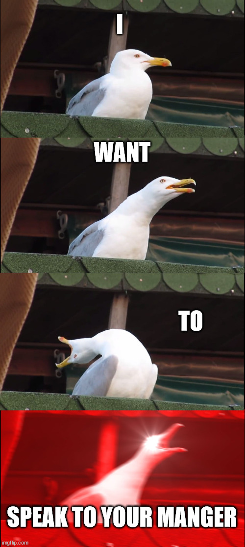 f | I; WANT; TO; SPEAK TO YOUR MANGER | image tagged in memes,inhaling seagull | made w/ Imgflip meme maker