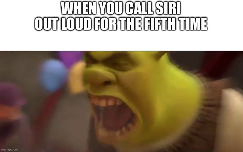 I hate Siri sometimes | WHEN YOU CALL SIRI OUT LOUD FOR THE FIFTH TIME | image tagged in shrek screaming | made w/ Imgflip meme maker