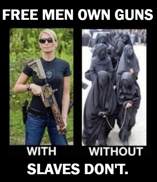 Free Men Own Guns. Any Questions? | FREE MEN OWN GUNS; SLAVES DON'T. | image tagged in 2nd amendment,right to bear arms,self defense,lock and load,molon labe,come and take it | made w/ Imgflip meme maker