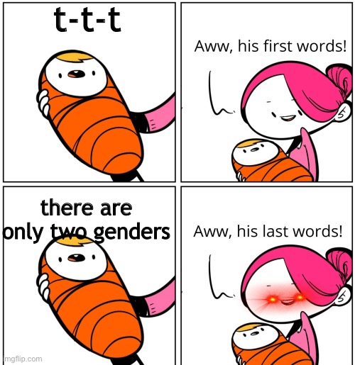 Nonbinary rights! | t-t-t; there are only two genders | image tagged in aww his last words,gender identity | made w/ Imgflip meme maker