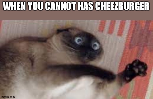 WHEN YOU CANNOT HAS CHEEZBURGER | made w/ Imgflip meme maker