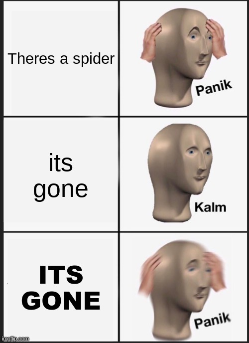 Panik Kalm Panik | Theres a spider; its gone; ITS GONE | image tagged in memes,panik kalm panik | made w/ Imgflip meme maker
