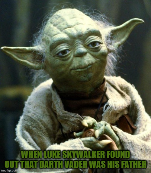 Star Wars Yoda Meme | WHEN LUKE SKYWALKER FOUND OUT THAT DARTH VADER WAS HIS FATHER | image tagged in memes,star wars yoda | made w/ Imgflip meme maker