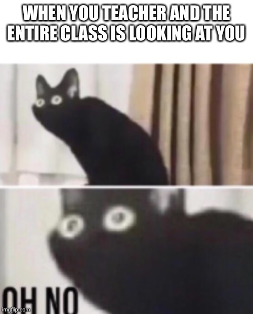 Oh no | WHEN YOU TEACHER AND THE ENTIRE CLASS IS LOOKING AT YOU | image tagged in oh no cat,teacher meme,uh oh | made w/ Imgflip meme maker