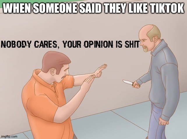 Nobody cares, your opinion is shit | WHEN SOMEONE SAID THEY LIKE TIKTOK | image tagged in nobody cares your opinion is shit | made w/ Imgflip meme maker