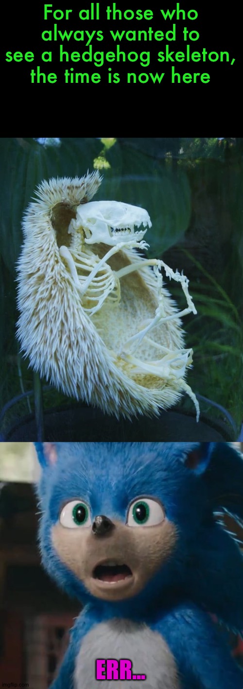 H̴̠̯̯͓̖͚̹̬̉̑̉͆̈́̾͗̉͐ͅȩ̴̟̱͍̯͈̩̗̃̓͋̌̽̔̐̐́̈́͜ͅd̷̟̳̘̘͖̙̭͓͍͉̭͎̜͇͒̉͛̔̎͜͝͠g̶̨̧͔̞̞̩̲̰͈͕͗͒̒̈́͑̍͂̈́̂͜ͅę̸̡̹̪̟̩͙͍̻̲͂̀ͅh̵̤̬̩̪̾̽̄̃͋̒̋͂͝͝͝ò̸̢͔͔̐ | For all those who always wanted to see a hedgehog skeleton, the time is now here; ERR... | image tagged in sonic movie | made w/ Imgflip meme maker