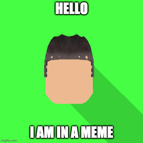 my profile picture | HELLO; I AM IN A MEME | image tagged in my profile picture | made w/ Imgflip meme maker