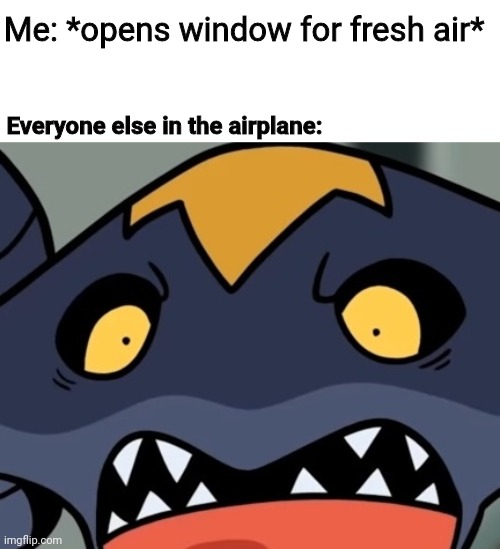 What's wrong? | Me: *opens window for fresh air*; Everyone else in the airplane: | image tagged in memes,funny memes,hold up | made w/ Imgflip meme maker