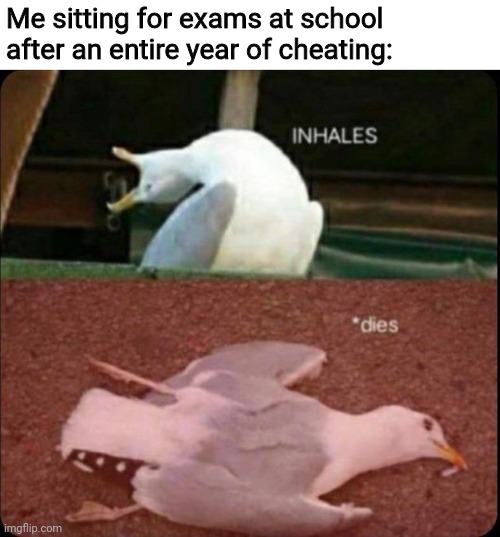 inhales dies bird | Me sitting for exams at school after an entire year of cheating: | image tagged in inhales dies bird | made w/ Imgflip meme maker