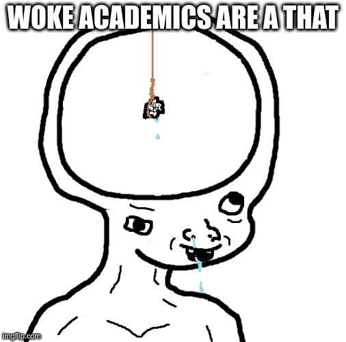 Dumb wojak | WOKE ACADEMICS ARE A THAT | image tagged in dumb wojak | made w/ Imgflip meme maker