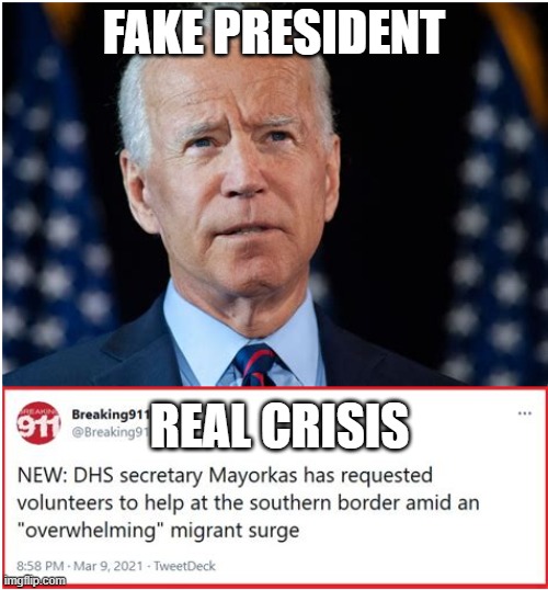 Fake President Real Crisis | FAKE PRESIDENT; REAL CRISIS | image tagged in fake president,illegal immigration,crisis | made w/ Imgflip meme maker