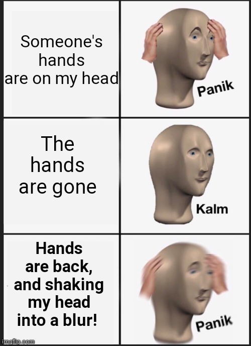 Panik Hands | Someone's hands are on my head; The hands are gone; Hands are back, and shaking my head into a blur! | image tagged in memes,panik kalm panik,hands | made w/ Imgflip meme maker