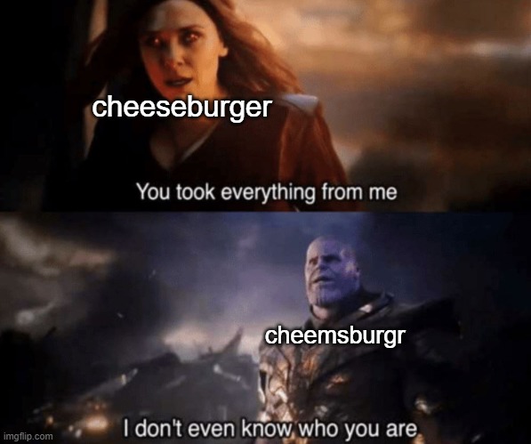 You took everything from me - I don't even know who you are | cheeseburger; cheemsburgr | image tagged in you took everything from me - i don't even know who you are | made w/ Imgflip meme maker