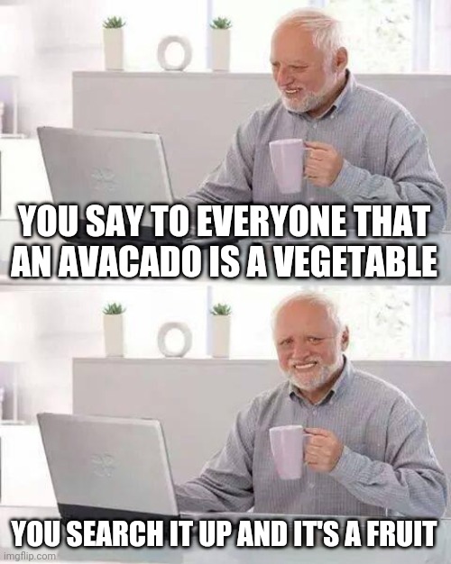 Avacado is a fruit | YOU SAY TO EVERYONE THAT AN AVACADO IS A VEGETABLE; YOU SEARCH IT UP AND IT'S A FRUIT | image tagged in memes,hide the pain harold,fruit,vegetable,searching | made w/ Imgflip meme maker