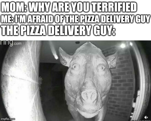 Daeodon at the Door | MOM: WHY ARE YOU TERRIFIED; ME: I'M AFRAID OF THE PIZZA DELIVERY GUY; THE PIZZA DELIVERY GUY: | image tagged in daeodon at the door | made w/ Imgflip meme maker