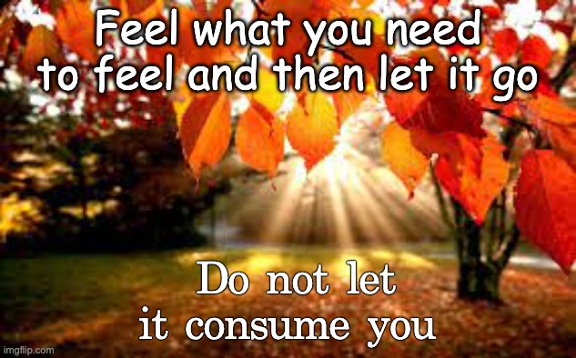 It's true and everyone deppressed like me should do the same | Feel what you need to feel and then let it go; Do not let it consume you | image tagged in just do it,feel what you need to feel,this is true,use it | made w/ Imgflip meme maker