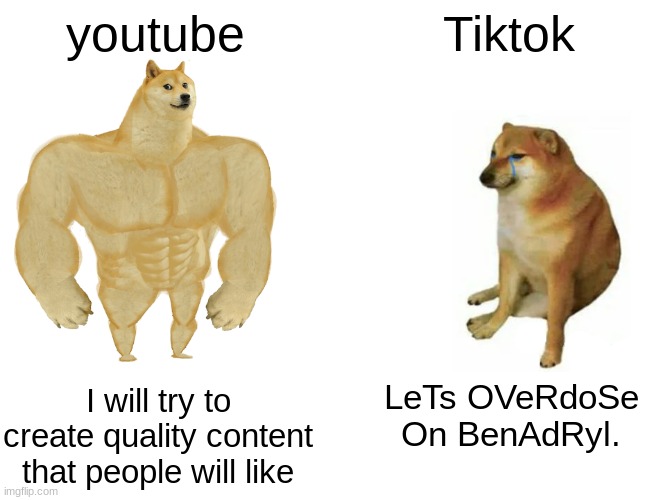 why would anyone think that that is a good idea!? | youtube; Tiktok; I will try to create quality content that people will like; LeTs OVeRdoSe On BenAdRyl. | image tagged in memes,buff doge vs cheems | made w/ Imgflip meme maker