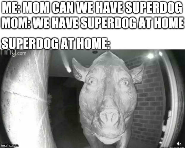 Daeodon at the Door | ME: MOM CAN WE HAVE SUPERDOG; MOM: WE HAVE SUPERDOG AT HOME; SUPERDOG AT HOME: | image tagged in daeodon at the door | made w/ Imgflip meme maker