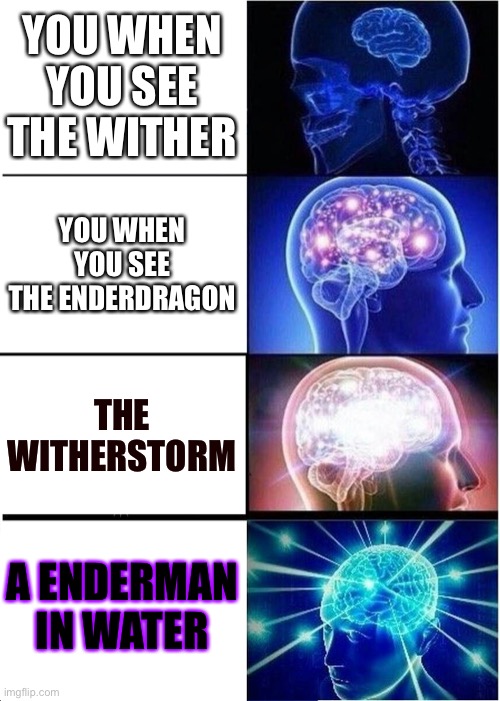 you when you see ....... | YOU WHEN YOU SEE THE WITHER; YOU WHEN YOU SEE THE ENDERDRAGON; THE WITHERSTORM; A ENDERMAN IN WATER | image tagged in memes,expanding brain | made w/ Imgflip meme maker