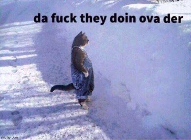 Da fuk they doin | image tagged in da fuk they doin | made w/ Imgflip meme maker